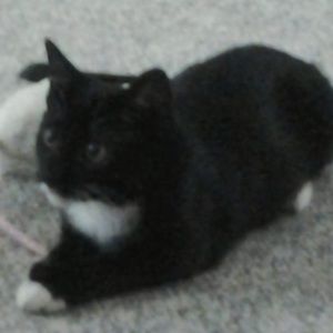 Meet your Posher, Shawn